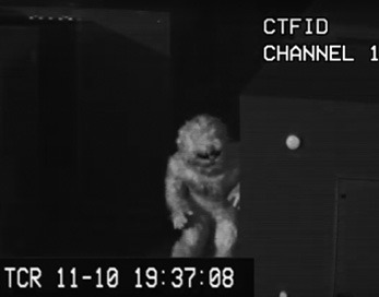 yeti-on-camera Yeti yeti-on-camera Yeti
